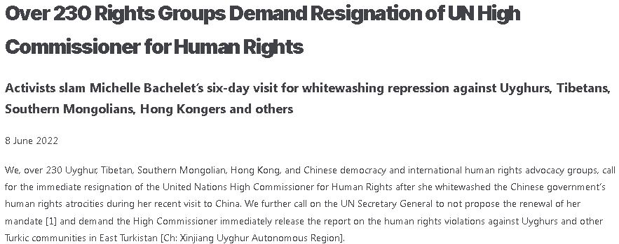 数百团体批ＵＮ人权高专助中共洗脱人权罪行联署吁其辞职